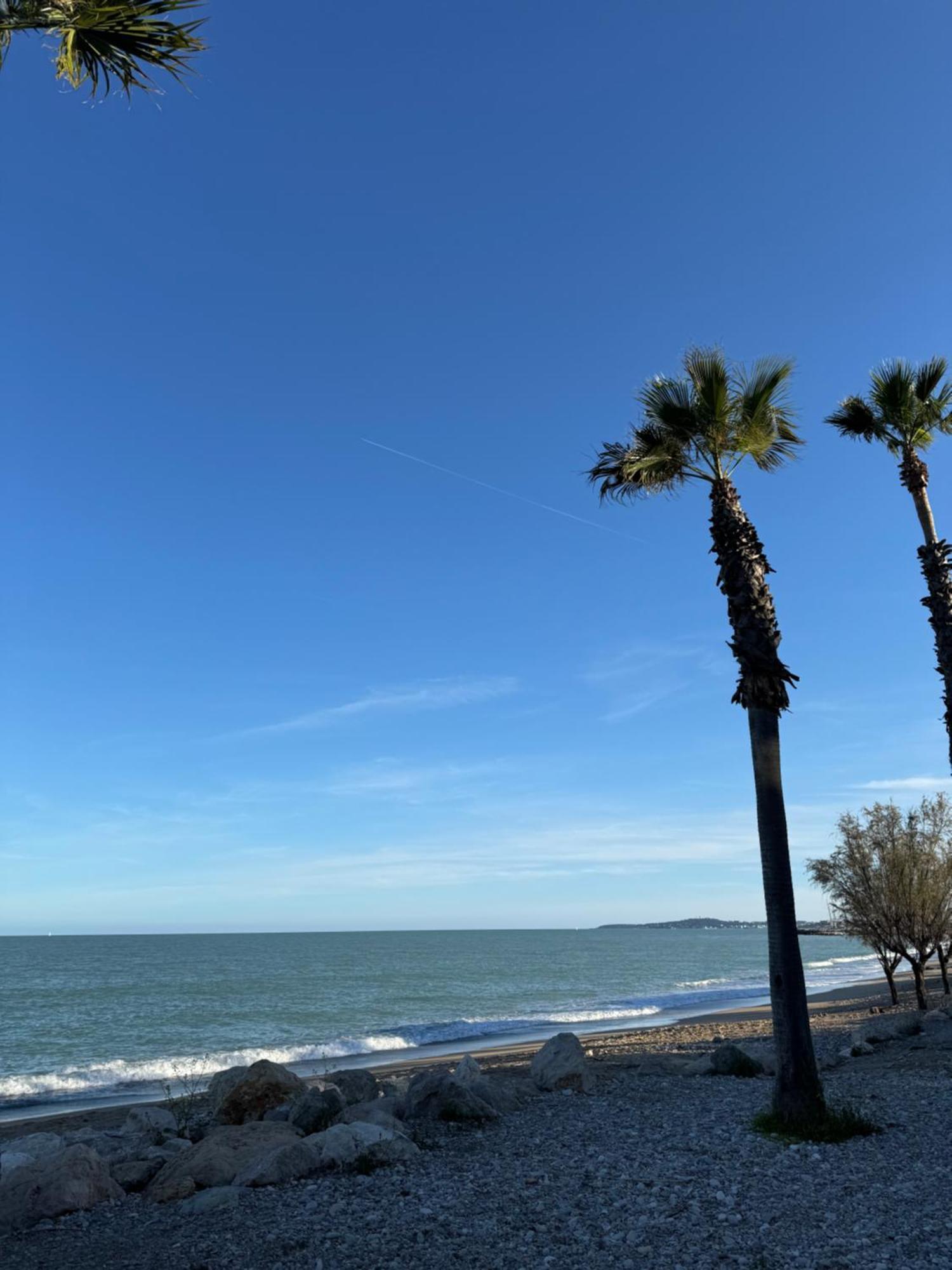 L'Appart Ideal Famille, Terrasse, Piscine, Plage Villeneuve-Loubet Eksteriør bilde